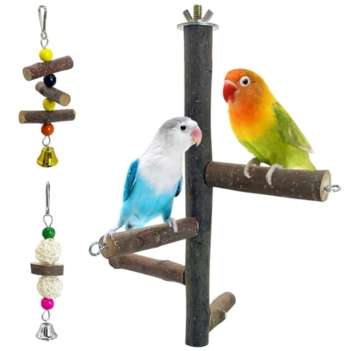Hamiledyi Vogelsitzstange aus Naturholz – rotierende Bälle & Drehspielzeug für Sittiche, Nymphensittiche, Sittiche, Wellensittiche, Finken und Liebesvögel Hamiledyi Vogelsitzstange aus Naturholz – rotierende Bälle & Drehspielzeug für Sittiche, Nymphensittiche, Sittiche, Wellensittiche, Finken und Liebesvögel von Hamiledyi