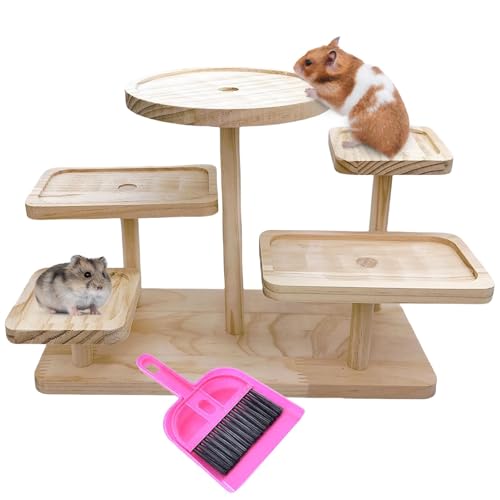 Hamster Kletterplattform Spielzeug Holz Rennmäuse Spielplatz Übung Spielzeug Käfig Zubehör für Maus Zwerghamster Ratte Zuckergleiter von Hamiledyi