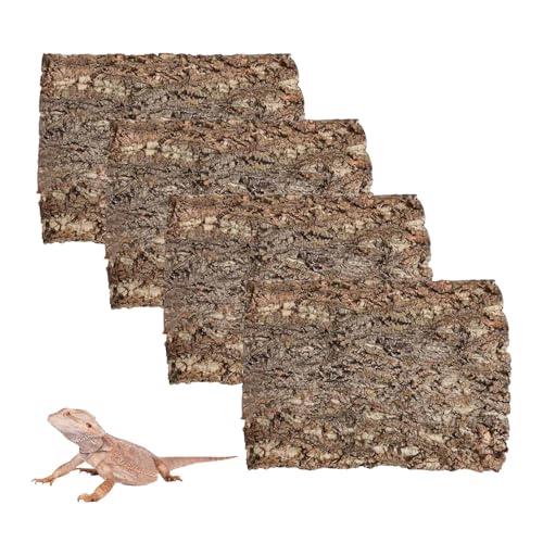 Kork-Terrarium-Hintergrund, 4 Stück, 39,9 x 30 cm, Naturkork, große Rinden, Klettermatte, Lebensraumdekoration, Chamäleons, Eidechsen, Schildkröten, Glasglas-Dekoration Kork-Terrarium-Hintergrund, 4 Stück, 39,9 x 30 cm, Naturkork, große Rinden, Klettermatte, Lebensraumdekoration, Chamäleons, Eidechsen, Schildkröten, Glasglas-Dekoration von Hamiledyi