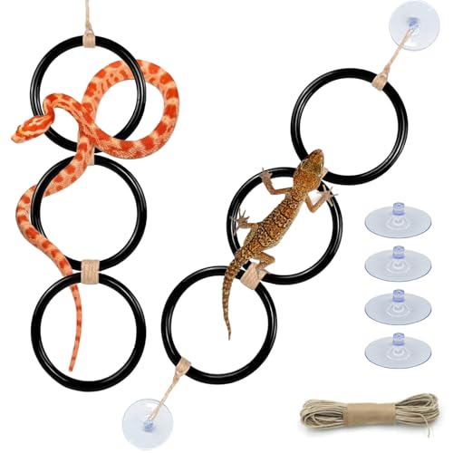 Schlangenkletterringe, Spielzeugball, Python, Kletterspielzeug, Maisschlange, Tankzubehör, Dekoration, Bereicherung für Bartagamen, Chamäleon, Gecko, Eidechse, 2 Stück Schlangenkletterringe, Spielzeugball, Python, Kletterspielzeug, Maisschlange, Tankzubehör, Dekoration, Bereicherung für Bartagamen, Chamäleon, Gecko, Eidechse, 2 Stück von Hamiledyi