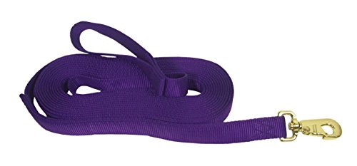 Hamilton 1 Dicke Nylon-Leine für Pferde mit Verschluss, 8 m mit 60-cm-Kette Hamilton 1 Dicke Nylon-Leine für Pferde mit Verschluss, 8 m mit 60-cm-Kette von Hamilton