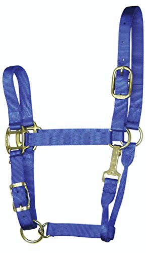 Hamilton 1-Inch Nylon Adjustable Quality Halter with Chin Snap for 500 to 800-Pound Horse, Small, Blue Hamilton 1-Inch Nylon Adjustable Quality Halter with Chin Snap for 500 to 800-Pound Horse, Small, Blue von Hamilton