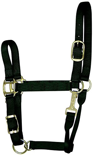 Hamilton 1-Inch Nylon Adjustable Quality Halter with Chin Snap for 800 to 1100-Pound Horse, Average, Black Hamilton 1-Inch Nylon Adjustable Quality Halter with Chin Snap for 800 to 1100-Pound Horse, Average, Black von Hamilton
