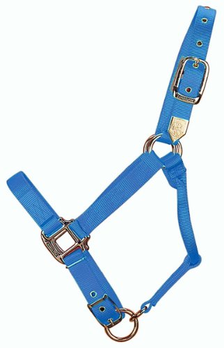 Hamilton 1-Inch Nylon Adjustable Quality Horse Halter with Adjustable Chin, Small Size Hamilton 1-Inch Nylon Adjustable Quality Horse Halter with Adjustable Chin, Small Size von Hamilton