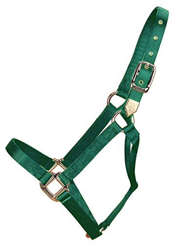 Hamilton 1-Inch Nylon Horse Halter, Small, 500 to 800-Pound, Dark Green Hamilton 1-Inch Nylon Horse Halter, Small, 500 to 800-Pound, Dark Green von Hamilton