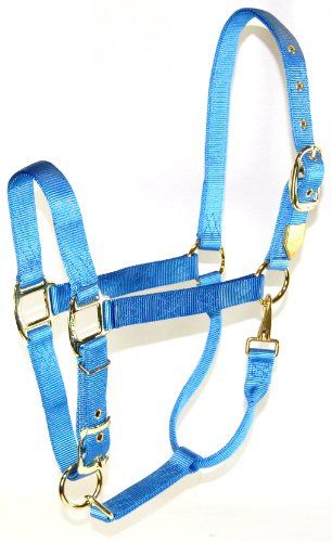 Hamilton 1 Nylon Halfter mit verstellbarem Verschluss Hamilton 1 Nylon Halfter mit verstellbarem Verschluss von Hamilton
