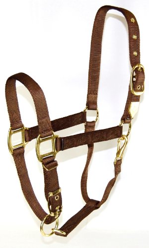 Hamilton 1 Nylon Halfter mit verstellbarem Verschluss von Hamilton