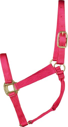 Hamilton 1 Nylon Quality Horse Halter, Average Size (800-1100 lbs), Raspberry von Hamilton