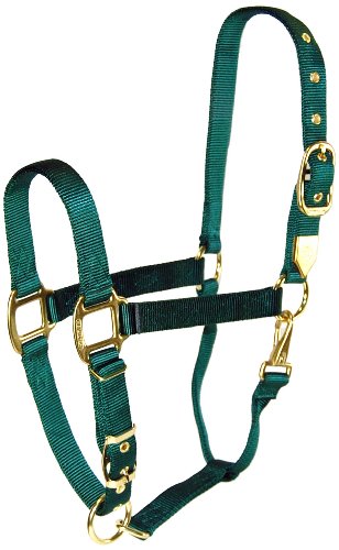 Hamilton 2,5 cm Nylonhalfter mit verstellbarem Kinn, Dunkelgrün, Größe S 500 bis 362,9 kg Hamilton 2,5 cm Nylonhalfter mit verstellbarem Kinn, Dunkelgrün, Größe S 500 bis 362,9 kg von Hamilton