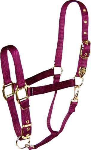 Hamilton 2,5 cm Nylonhalfter mit verstellbarem Kinn, Weinrot - durchschnittliche Größe Hamilton 2,5 cm Nylonhalfter mit verstellbarem Kinn, Weinrot - durchschnittliche Größe von Hamilton