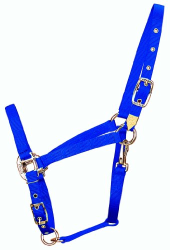Hamilton 3/4-Inch Nylon Arabian Horse Halter with Adjustable Chin and Throat Snap, Average, 800 to 1100 pounds, Blue Hamilton 3/4-Inch Nylon Arabian Horse Halter with Adjustable Chin and Throat Snap, Average, 800 to 1100 pounds, Blue von Hamilton