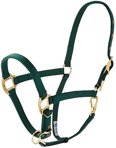 Hamilton 3/4-Inch Nylon Arabian Horse Halter with Adjustable Chin and Throat Snap, Average, 800 to 1100 pounds, Dark Green von Hamilton