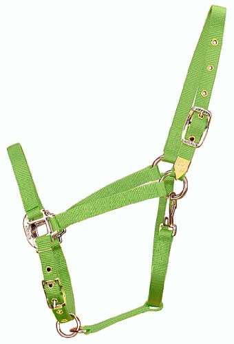 Hamilton 3/4-Inch Nylon Arabian Horse Halter with Adjustable Chin and Throat Snap, Average, 800 to 1100 pounds, Lime Green Hamilton 3/4-Inch Nylon Arabian Horse Halter with Adjustable Chin and Throat Snap, Average, 800 to 1100 pounds, Lime Green von Hamilton