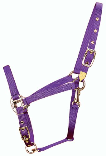 Hamilton 3/4-Inch Nylon Arabian Horse Halter with Adjustable Chin and Throat Snap, Average, 800 to 1100 pounds, Purple Hamilton 3/4-Inch Nylon Arabian Horse Halter with Adjustable Chin and Throat Snap, Average, 800 to 1100 pounds, Purple von Hamilton