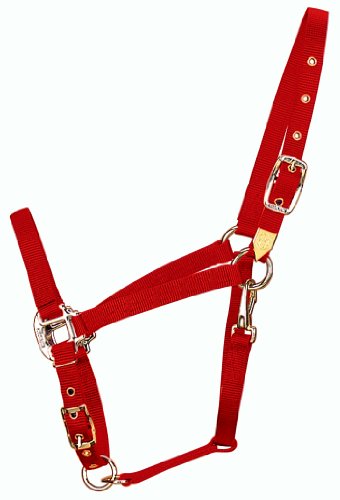 Hamilton 3/4-Inch Nylon Arabian Horse Halter with Adjustable Chin and Throat Snap, Small, 500 to 800 pounds, Red von Hamilton