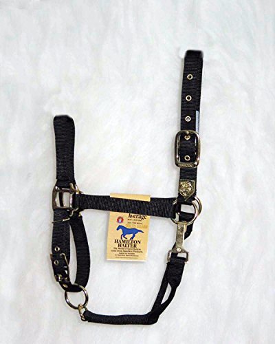 Hamilton Bauernhof Nylonhalfter mit verstellbarem Kinn, 2,5 cm, Schwarz – durchschnittliche Größe, Average, 800-1100 Pounds Hamilton Bauernhof Nylonhalfter mit verstellbarem Kinn, 2,5 cm, Schwarz – durchschnittliche Größe, Average, 800-1100 Pounds von Hamilton