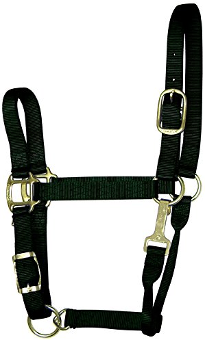 Hamilton Halfter aus Nylon, verstellbar, mit Kinnverschluss, für Pferde mit 1100 bis 725 kg, groß, Schwarz Hamilton Halfter aus Nylon, verstellbar, mit Kinnverschluss, für Pferde mit 1100 bis 725 kg, groß, Schwarz von Hamilton