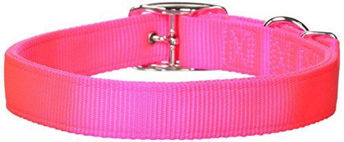 Hamilton Hundehalsband, Nylon, 2,5 x 61 cm, Hot Pink von HamiltonBuhl