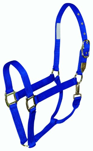 Hamilton Pferdehalfter, 2,5 cm, Nylon, mit Druckknopf am Hals Hamilton Pferdehalfter, 2,5 cm, Nylon, mit Druckknopf am Hals von Hamilton