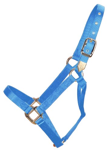Hamilton Pferdhalfter, 2,5 cm, Nylon Hamilton Pferdhalfter, 2,5 cm, Nylon von Hamilton