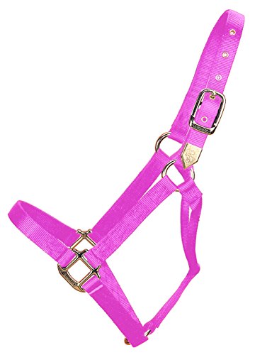 Hamilton Pferdhalfter, 2,5 cm, Nylon Hamilton Pferdhalfter, 2,5 cm, Nylon von Hamilton