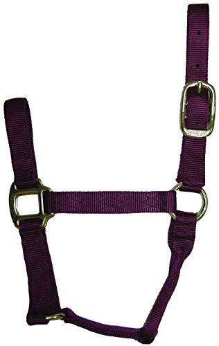 Hamilton Qualität Nylon Pferd Halfter, 500–800 lb Hamilton Qualität Nylon Pferd Halfter, 500–800 lb von Hamilton