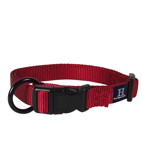 Hamilton Verstellbares Hundehalsband, 20,3 cm Hamilton Verstellbares Hundehalsband, 20,3 cm von Hamilton