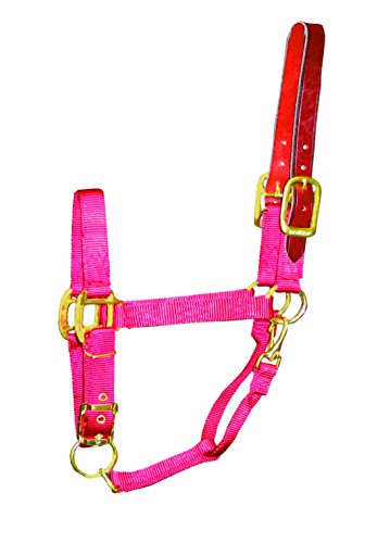 Hamilton Verstellbares Pferdehalfter aus Nylon, mit Lederkopf, Poll und Hals, 2,5 cm, Rot Hamilton Verstellbares Pferdehalfter aus Nylon, mit Lederkopf, Poll und Hals, 2,5 cm, Rot von Hamilton