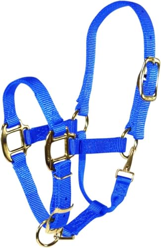 Hamilton Verstellbares Qualitäts-Halfter mit Druckknopf, 1,9 cm (3/4 Zoll), Blau von Hamilton