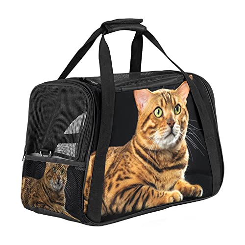 Haustiertasche Katze süßes Kätzchen Transporttasche für Katzen und Hunde Faltbare Katzentransportbox Drucken Hundebox Atmungsaktiv und sicher 43x26x30 cm von Haminaya