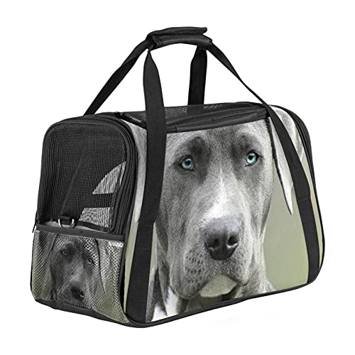 Haustiertasche Tier Hund Transporttasche für Katzen und Hunde Faltbare Katzentransportbox Drucken Hundebox Atmungsaktiv und sicher 43x26x30 cm von Haminaya