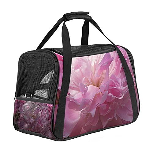 Transporttasche Katze Pinke Blume Hundetragetasche Faltbare Katzentragetasche Reiseträger mit weicher Matratze für den Transport mit Zug/Auto/Flugzeug 43x26x30 cm von Haminaya