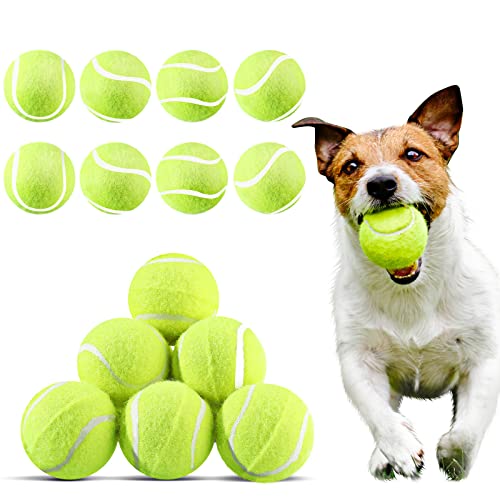 Hanaive 20 Stück Hunde-Tennisbälle 5,1 cm Mini-Tennisbälle für kleine Hunde, Apportierspielzeug, Gummi-Filz, Trainingsspielzeug für Welpen, Haustiere, Übung und Übung (gelb) von Hanaive