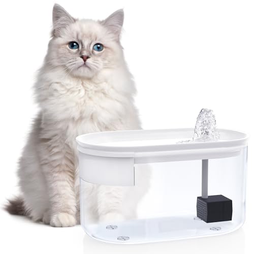 Katzenbrunnen für Katzen, Trinkbrunnen für Katze Leise, Wasserbrunnen für Katze und Kleine Hunde, Wasserspender für Katze BPA-frei, mit Filter, Cat Fountain Geeignet für Kleine und Mittlere Haustiere von Hanbramo