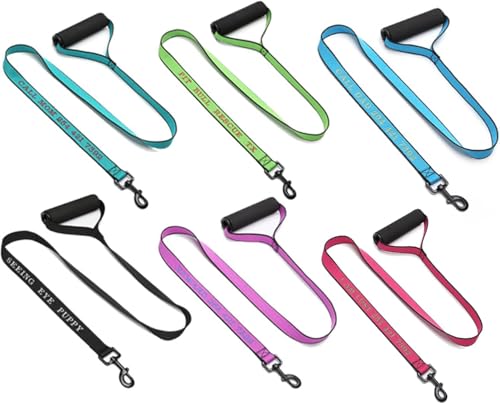 Handimake Hundehalsband mit personalisiertem Hundenamen und Telefonnummer, besticktes Nylonhalsband für kleine, mittelgroße und große Hunde, lasergraviert (Nylon-Traktionsseil) von Handimake