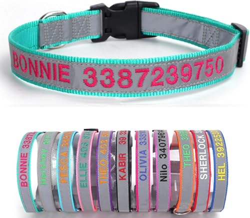 Handimake Hundehalsband mit personalisiertem Hundenamen und Telefonnummer, besticktes Nylonhalsband für kleine, mittelgroße und große Hunde, lasergraviert (Nylonhalsband) von Handimake