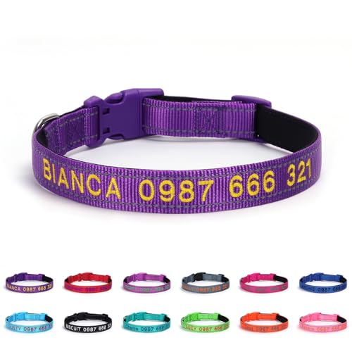 Individuell besticktes Haustier-Halsband, bestickter Name und Telefon, personalisierbar mit Ihrem Anti-Verlust-Ausweis, Hundehalsband, Größe verstellbar Individuell besticktes Haustier-Halsband, bestickter Name und Telefon, personalisierbar mit Ihrem Anti-Verlust-Ausweis, Hundehalsband, Größe verstellbar von Handimake