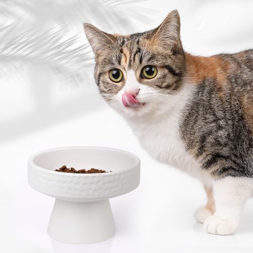 Erhöhter Futternapf aus mattierter Keramik, für Indoor-Katzen, kleine Hunde, Kätzchen, erhöhter Futternapf, 11,9 cm, Weiß von Handmade Max