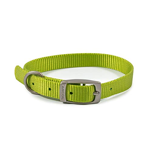 Ancol Viva Hundehalsband, leicht, bequem, sicher, wetterfest, Limettengrün, 20–26 cm, Größe 1 Ancol Viva Hundehalsband, leicht, bequem, sicher, wetterfest, Limettengrün, 20–26 cm, Größe 1 von Ancol
