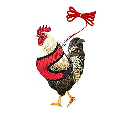 Hühner Geschirr Haustiergeschirr Hühnergeschirr, Beque Atmungsaktiv Hühnergeschirr mit 3.6 inch Leine, Hühner Geschirr für Ente, Gans, Henne von Hangarone