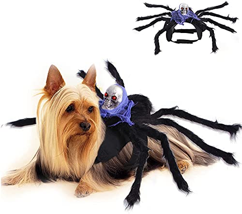 Halloween-Kostüm für Hunde und Katzen, für mittelgroße und kleine Hunde von Hanguin