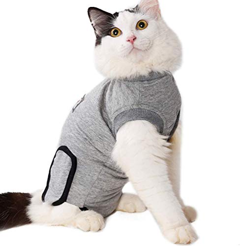 Katzenanzug für Bauchwunden, atmungsaktiver Katzen-Genesungsanzug für Katzen, E-Halsband, Alternative nach Operationen, Verschleiß, Anti-Leck-Wunden von Hanguin