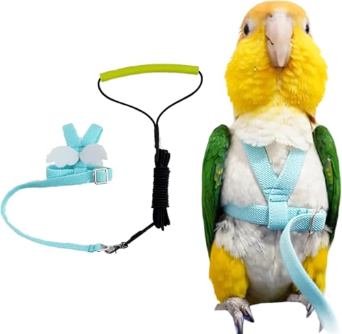 Hanjiajia Pet Parrot Bird Geschirr, Zugseil, verstellbar, Vogel, Flight, Geschirr, Zugseil mit schönen Flügeln für Papagei, Taube Hanjiajia Pet Parrot Bird Geschirr, Zugseil, verstellbar, Vogel, Flight, Geschirr, Zugseil mit schönen Flügeln für Papagei, Taube von Hanjiajia