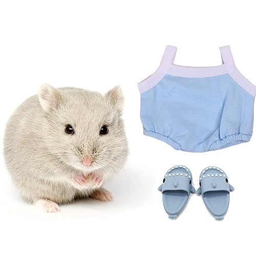 HanryDong Hamster-Kostüm-Set mit Hemd, Hut, Schuhen, Kleintier-niedlicher Hai-Hausschuh für echte Haustiere, niedliche Mini-Ratten-Feiertagsparty-Kleidung, für Spaß, Fotos.(Blaues Overall-Set für von HanryDong