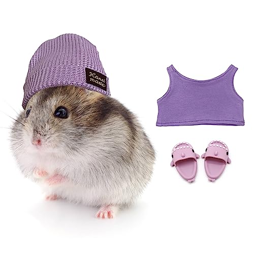 HanryDong Hamster-Kostüm-Set mit Hemd, Hut, Schuhen, Kleintier-niedlicher Hai-Hausschuh für echte Haustiere, niedliche Mini-Ratten-Feiertagsparty-Kleidung, für Spaß, Fotos.(Lila Custome Set für von HanryDong