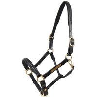 Hans Melzer Horse Equipment Hans Melzer Halfter Hünxe schwarz/messing Pony Hans Melzer Horse Equipment Hans Melzer Halfter Hünxe schwarz/messing Pony von Hans Melzer Horse Equipment