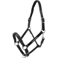 Hans Melzer Horse Equipment Hans Melzer Halfter Schwaiganger schwarz/silber WB EXTRA (KB-Kaltblut) von Hans Melzer Horse Equipment