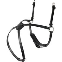 Hans Melzer Horse Equipment Hans Melzer Reithalfter mexikanisch schwarz/silber schwarz unterlegt WB (Warmblut) von Hans Melzer Horse Equipment