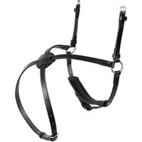 Hans Melzer Horse Equipment Hans Melzer Reithalfter mexikanisch schwarz/silber schwarz unterlegt Pony von Hans Melzer Horse Equipment