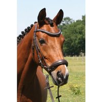 Hans Melzer Horse Equipment Hans Melzer Trense Calgary hannoversches Reithalfter braun/silber Pony Hans Melzer Horse Equipment Hans Melzer Trense Calgary hannoversches Reithalfter braun/silber Pony von Hans Melzer Horse Equipment